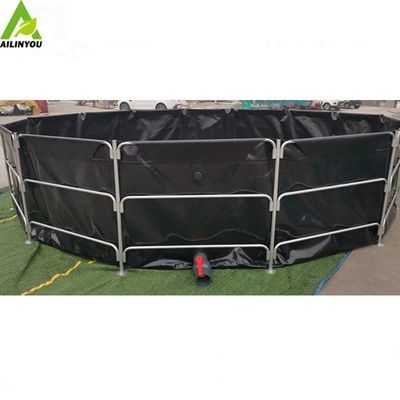 RAS System Indoor Fish Shrimp Farming Equipment Recirculating Aquaculture System