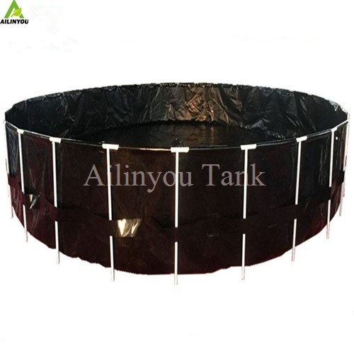 Indoor RAS system with Fish Pond Integration Recirculating Aquaculture System for Sale Fish Farming Equipments
