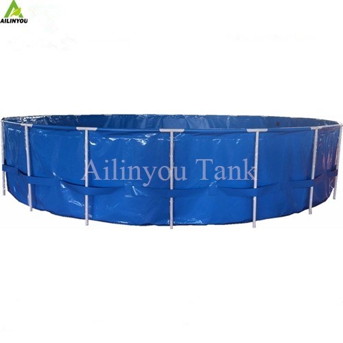 Indoor RAS system with Fish Pond Integration Recirculating Aquaculture System for Sale Fish Farming Equipments