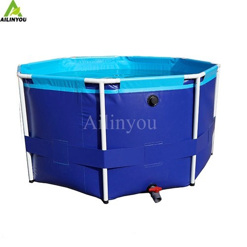 Indoor RAS system with Fish Pond Integration Recirculating Aquaculture System for Sale Fish Farming Equipments