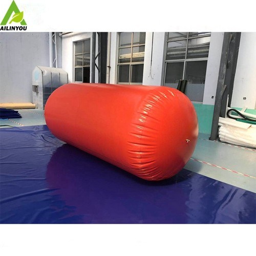 Hot Sale 1m3 Portable Biogas Storage Bag 4m3 Biogas Home Plant