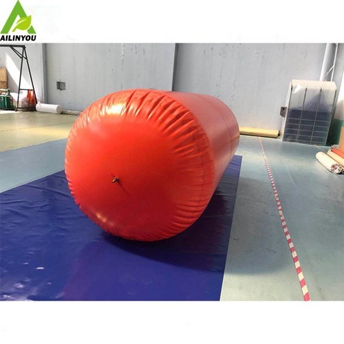 Hot Sale Biogas Digester Holding Tank Home Biogas System Methane Digester Bag