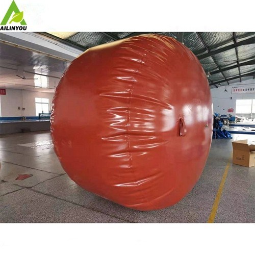 China Factory best quality biogas production plant digesteur biogaz prix