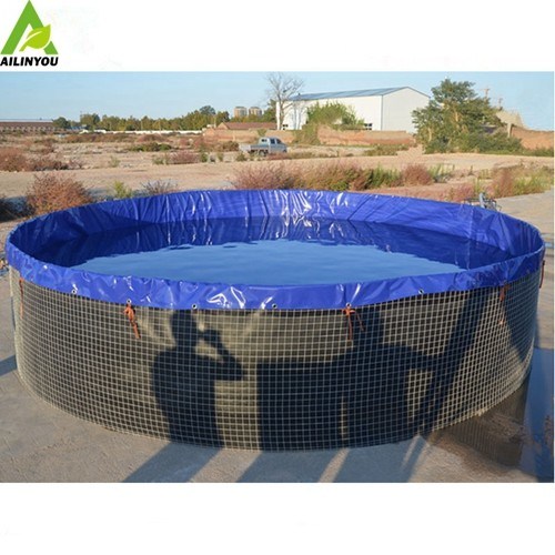 China Factory Supply Large Plastic Fish Tank Farm Recirculating Aquaculture System