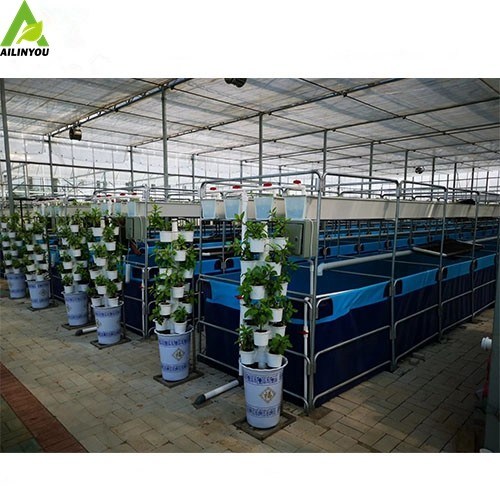 Factory Direct Sales Fsh Farming Equipment Hydroponics System Custom Shrimp Farm Tank