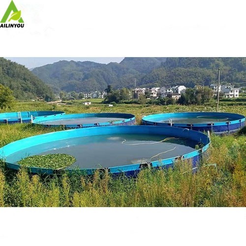 Flexible Biofloc PVC Fish Farming Tank Pond 1.2m High with Stainless Frame Betta Fish Tank Aquarium