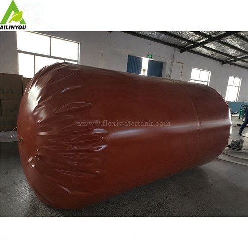 Ailinyou Manufacturer Home Using  Small Complete Biogas Plant Biodigester with All Necessary Components 4m3 6m3 8m3 10m3
